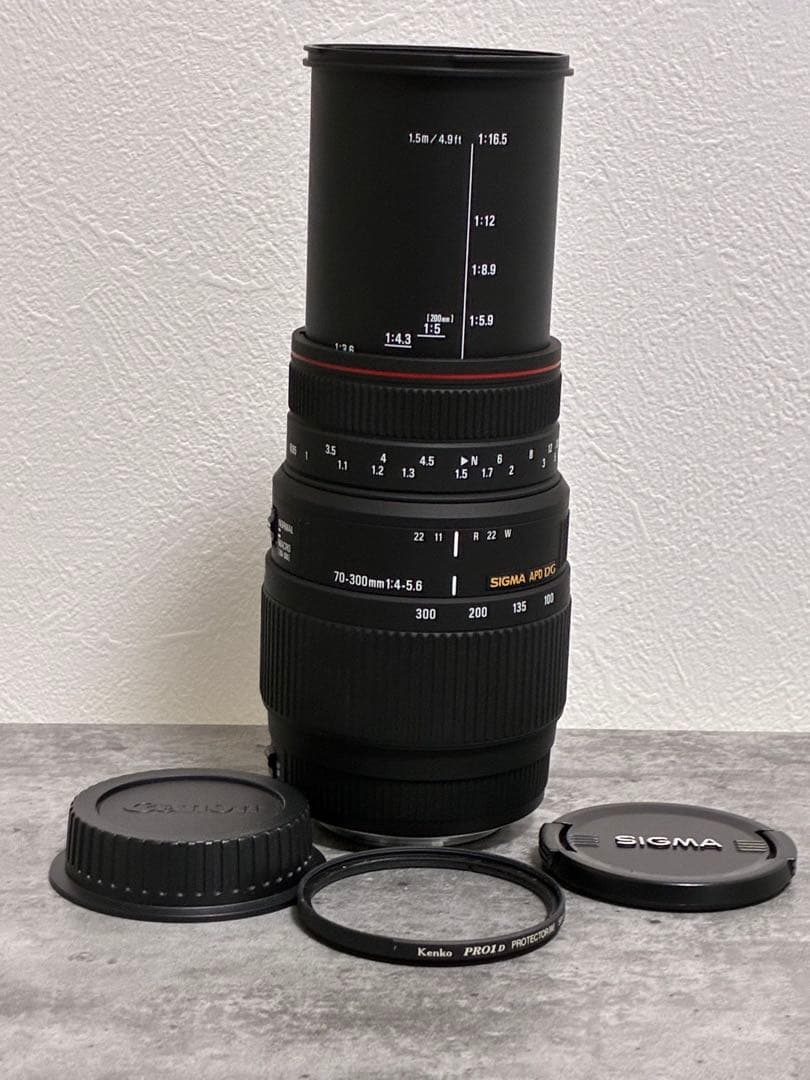 ⭐️美品⭐️シグマSIGMA 70-300mm APO DG MACRO キヤノン用