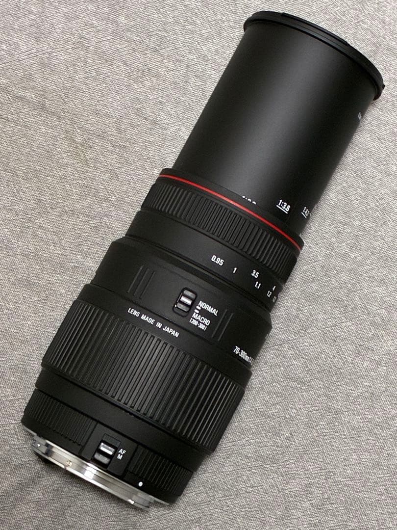 ⭐️美品⭐️シグマSIGMA 70-300mm APO DG MACRO キヤノン用