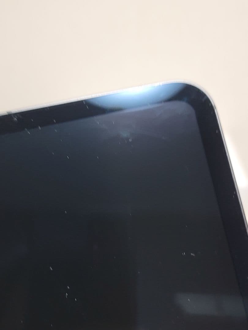 iPad本体 Ipad Pro 2024 M4 WiFi 256GB