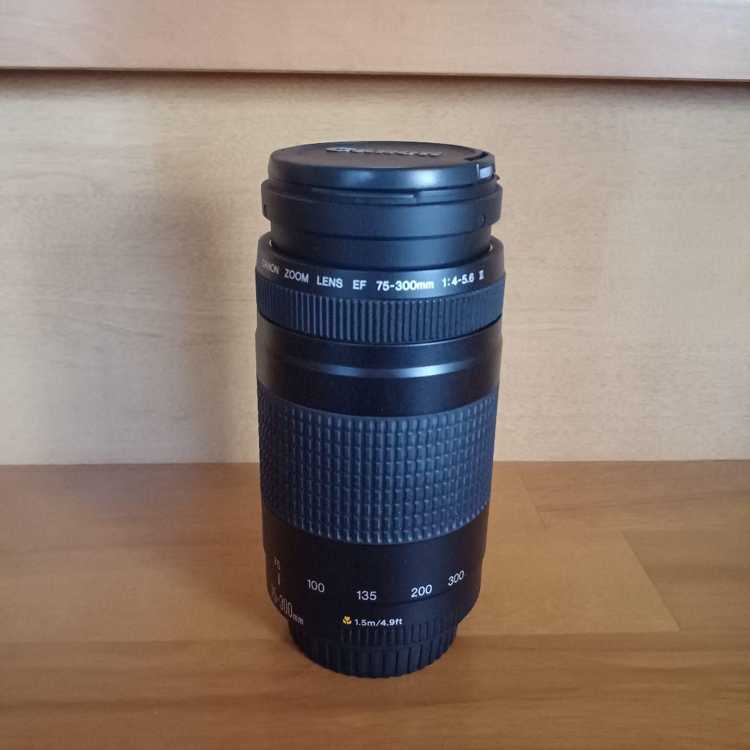 キャノン ズームレンズ EF75-300㎜ 、35-80㎜、カメラEOS3000