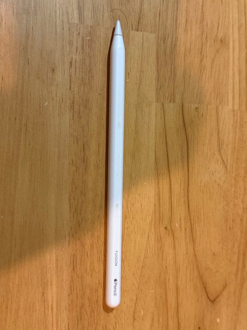 iPad Pro 11 (Celler 512GB)本体のみ + Pencil
