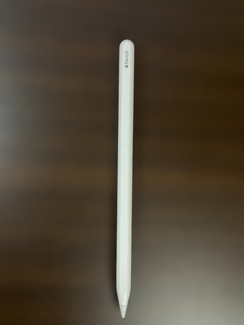 Apple iPad グレー 本体 + Apple Pencil
