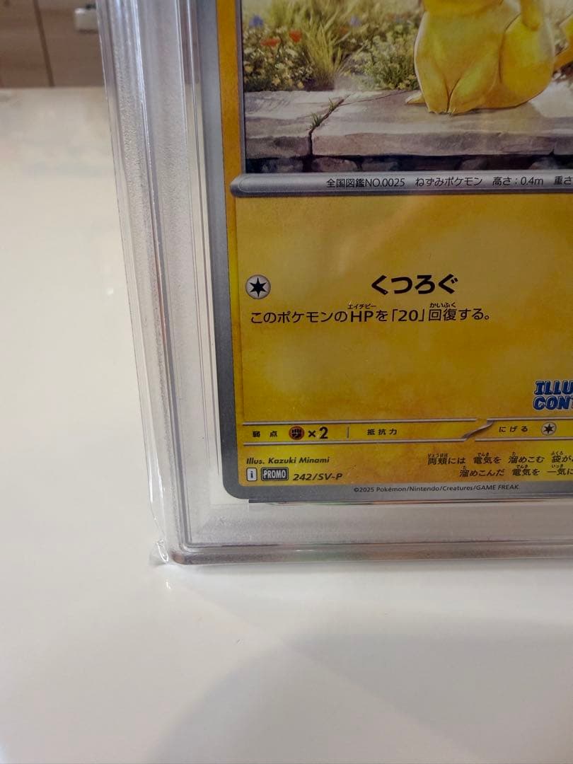 PSA10 ピカチュウ イラストレーションコンテスト 2025 美品