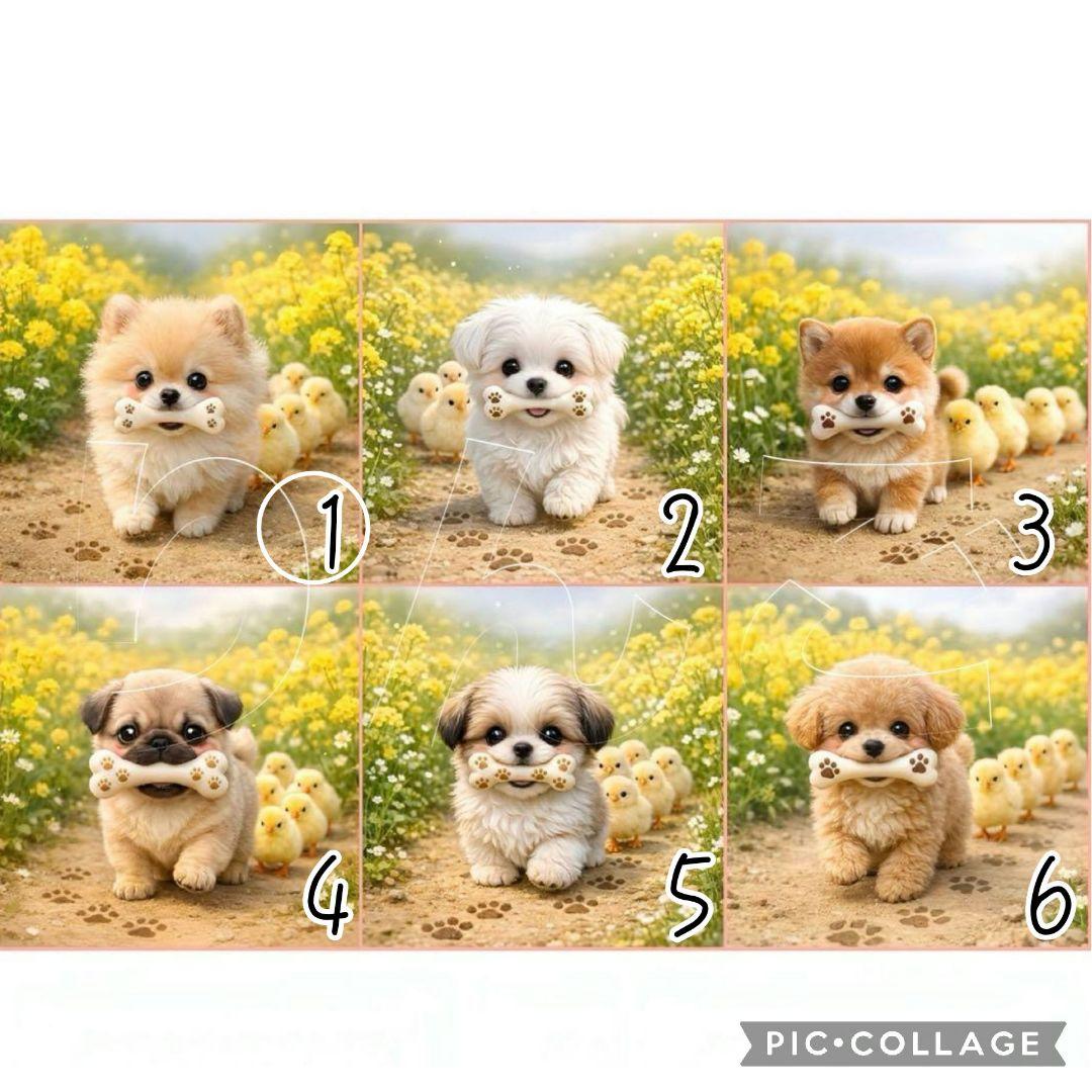 【2月】ピーチ