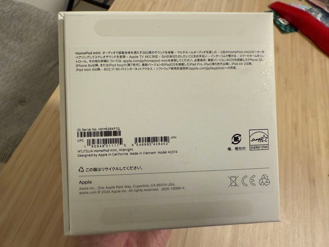 Apple Pod mini ブラック フルセット