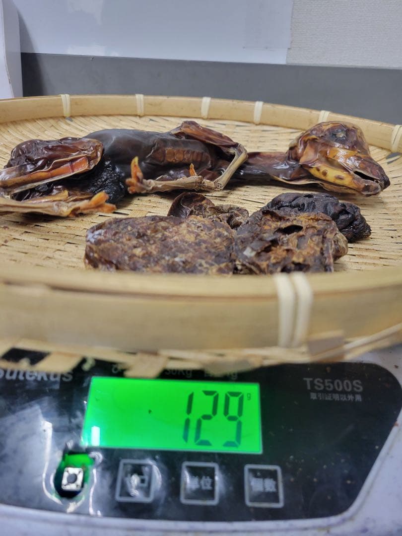 【特別商品限定】鹿　腹子　丸ごと1頭ジャーキー　激レア　胎盤付き　1頭分