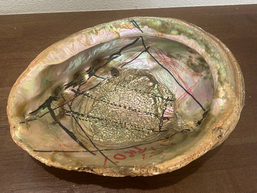 大型 グリーンアバロン アバロンシェル クラフト 1255g 約24×19cm
