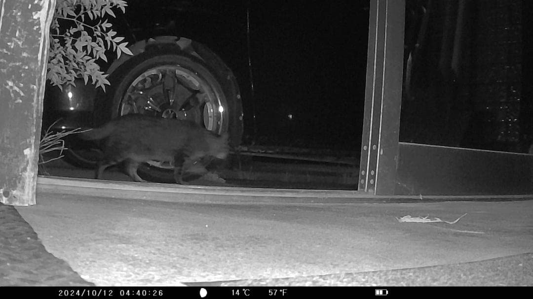 KJK トレイルカメラ 小型 防犯カメラ 野生動物監視カメラ 動画2.7k CH
