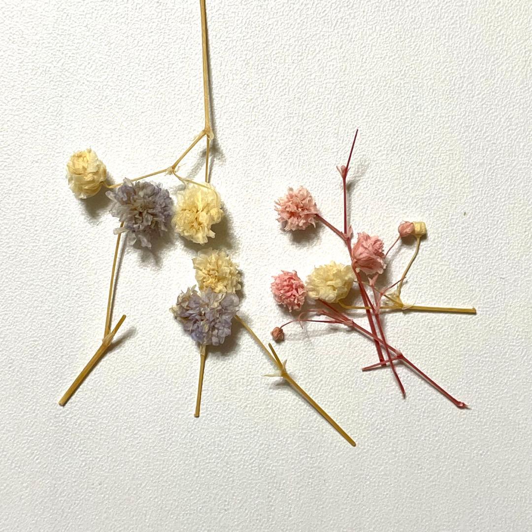 受注制作 プチブライス 花冠 ドライフラワー