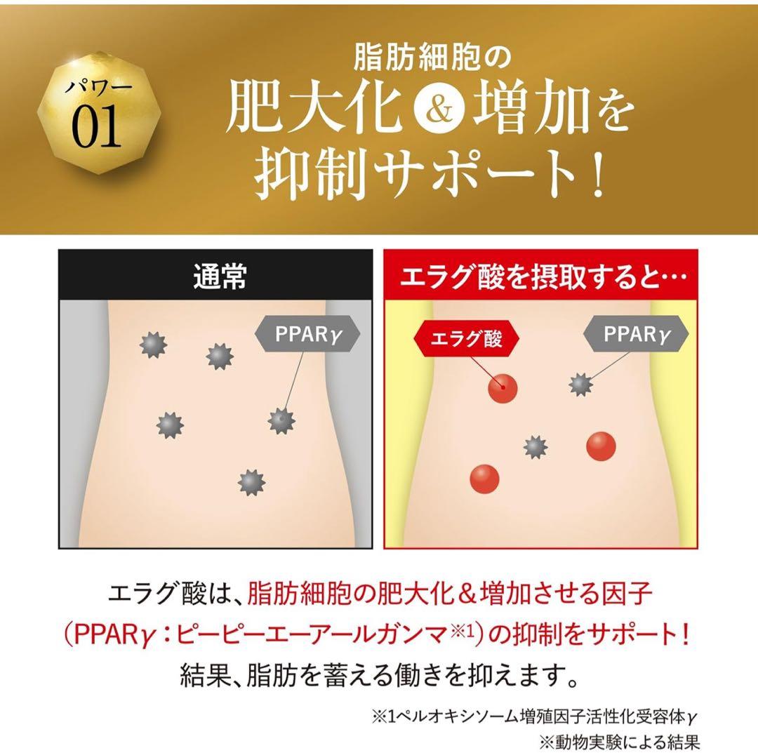 キラーバーナー2 ダイエットサプリ 倖田來未 45粒×2袋 エラグ酸 内蔵脂肪