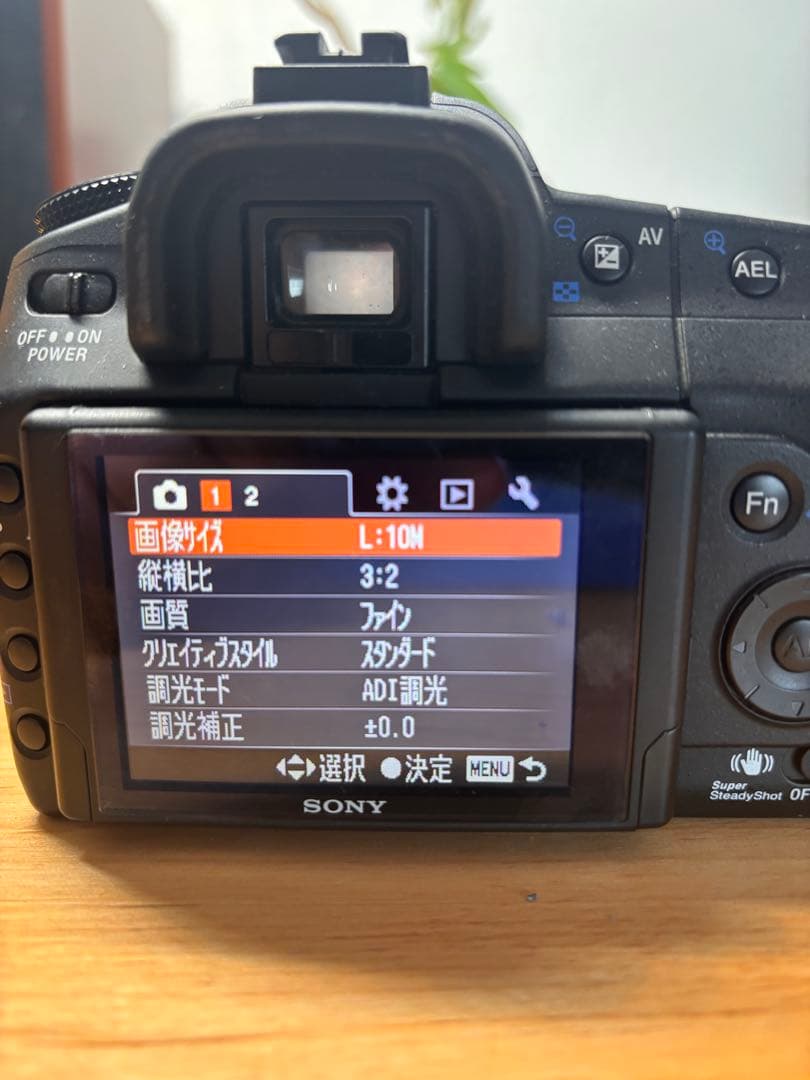 Sony α300 デジタル一眼レフ バッテリー CFカード16GBなど付き