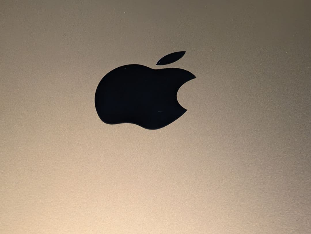 iPad Pro 12.9-inch (第3世代) 1TB