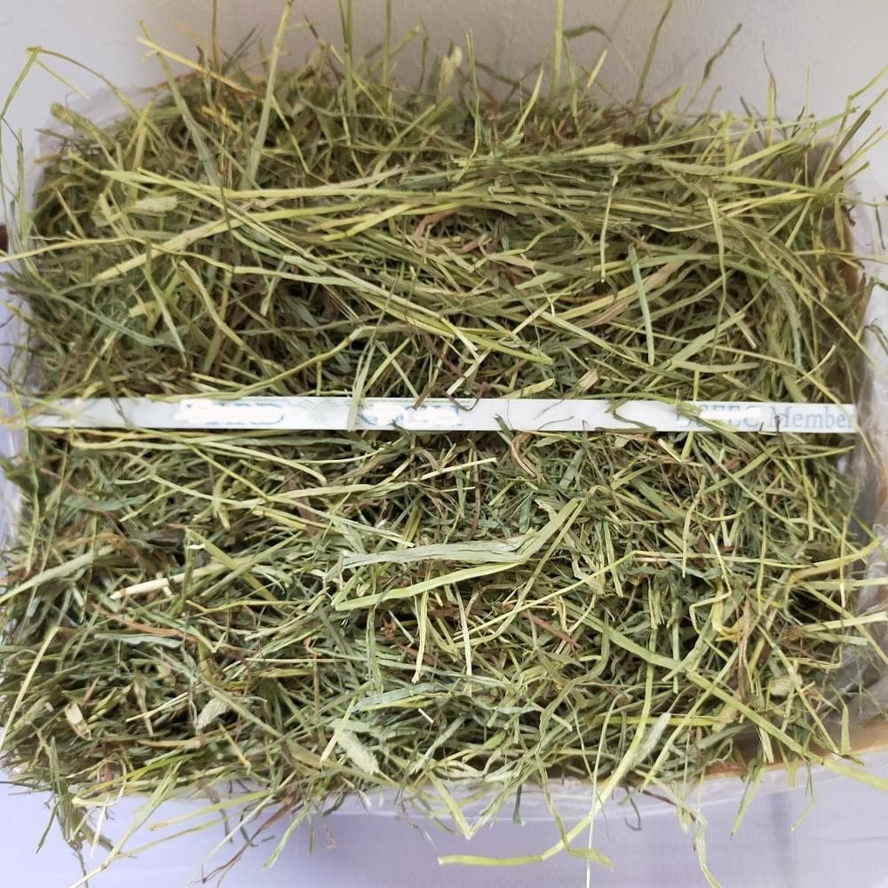 【12/30まで】US産 チモシー 30kg ２番刈り ソフトSプレミアム