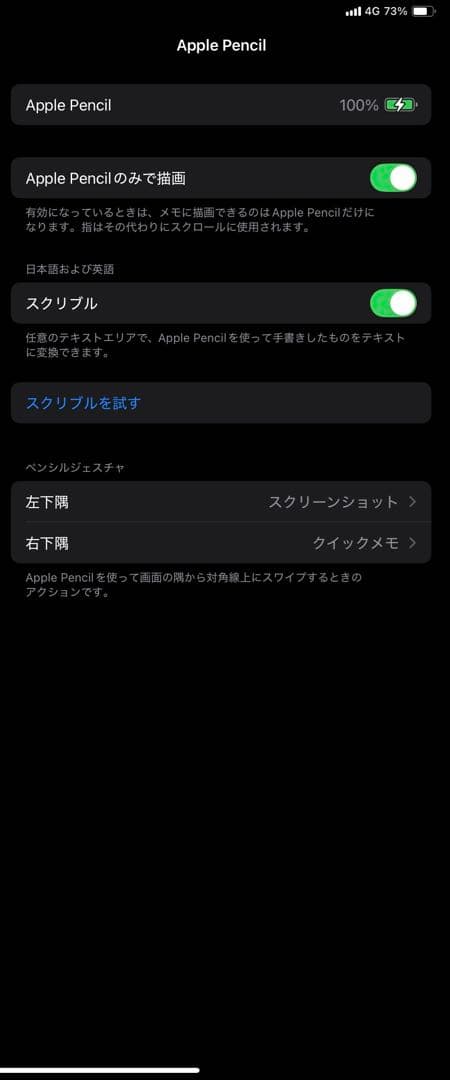 Apple Pencil 第１世代 A1603 ほぼ未使用