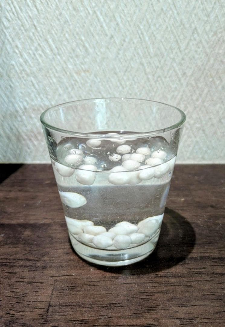 嫌気性/好気性脱窒剤ビスコパールP　500グラム　セルロース　アクアリウム　養殖