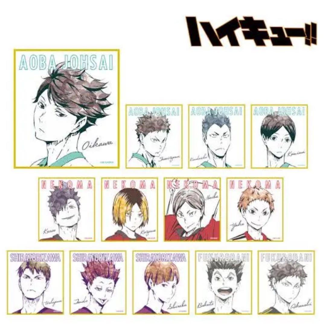 ✦ハイキュー!! Ani-Art ver.B ✦新品未開封
