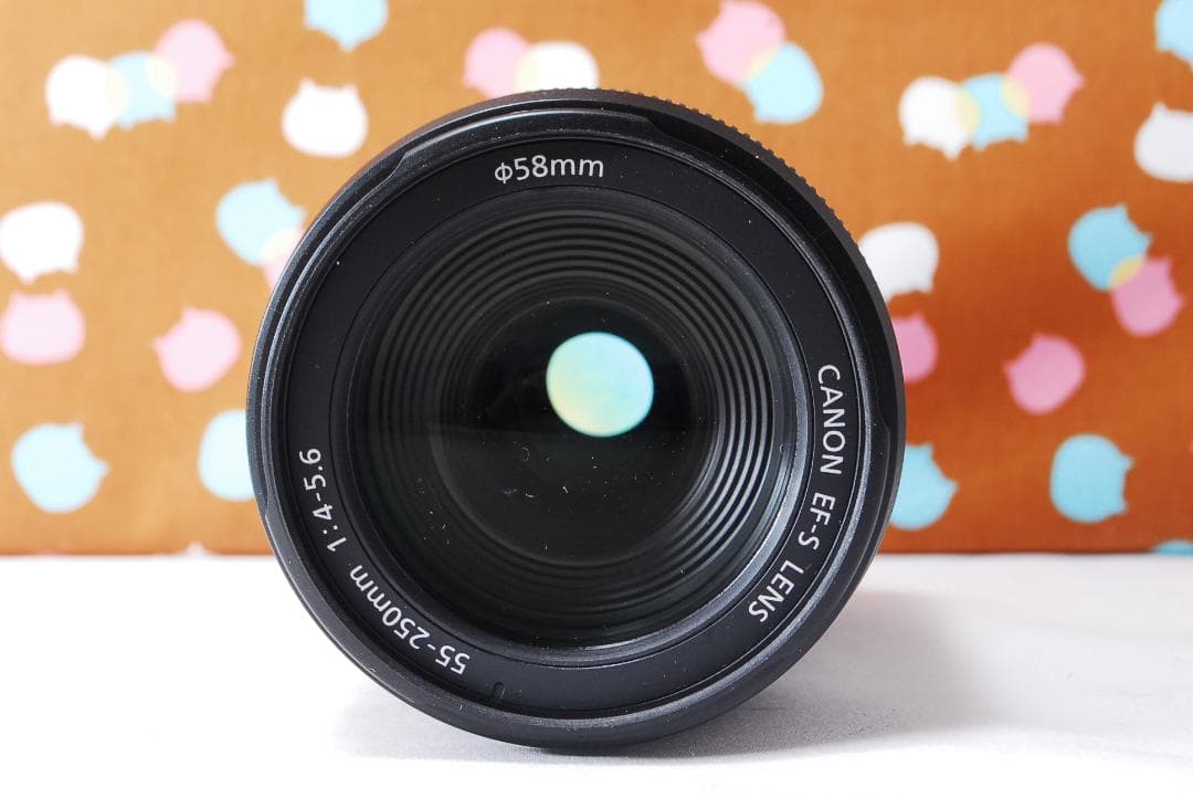 ✨美品✨手振補正あり✨Canon EF-S 55-250mm F4-5.6 IS