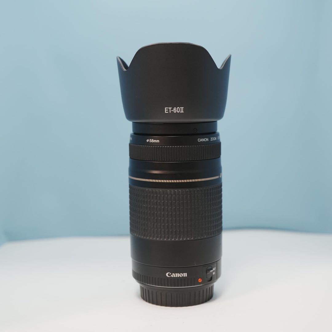 Canon純正 75-300mm 望遠レンズ 美品 a4548