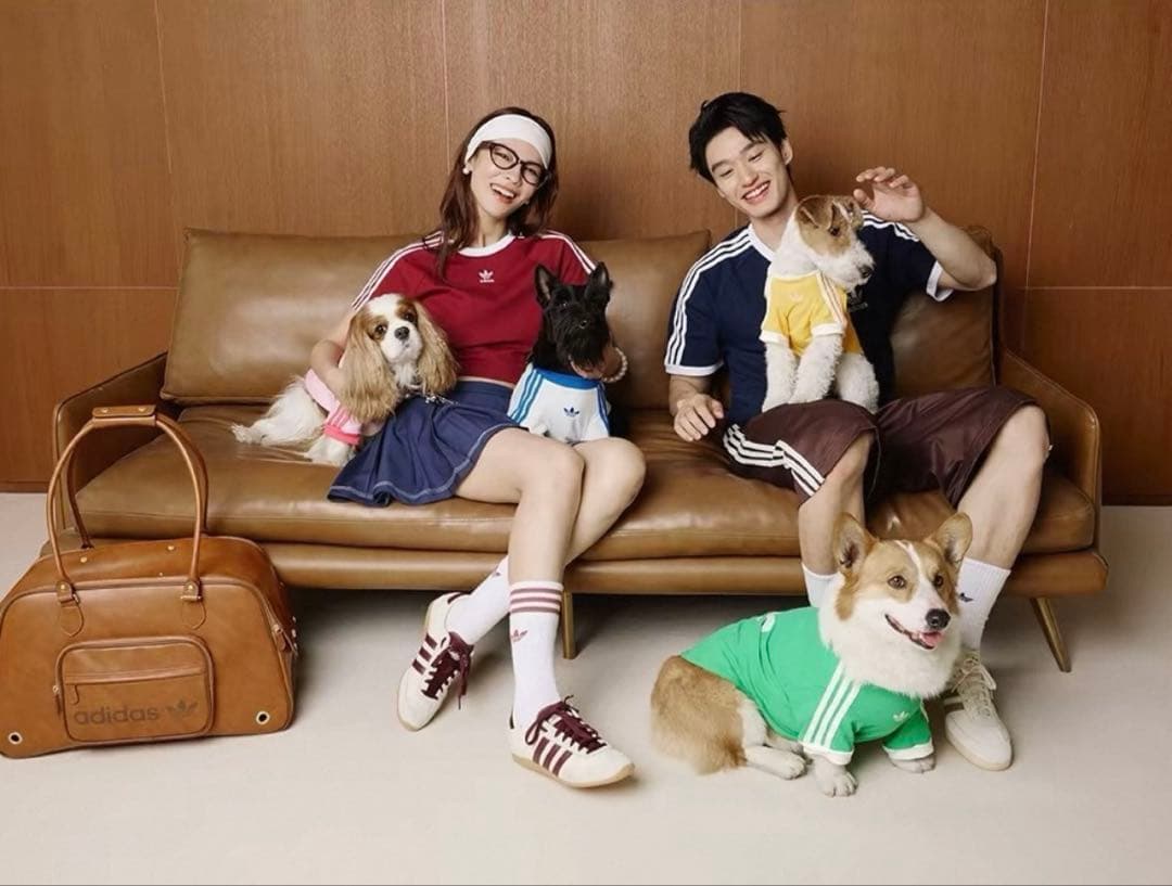 【正規新品】adidas ペットTシャツ ペット 服 犬猫兼用