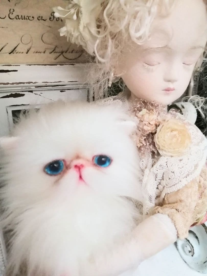 ポッケにゃん♡真っ白美人ちゃん♡エキゾチック子猫ちゃん♡アートドール♡ぬいぐるみ