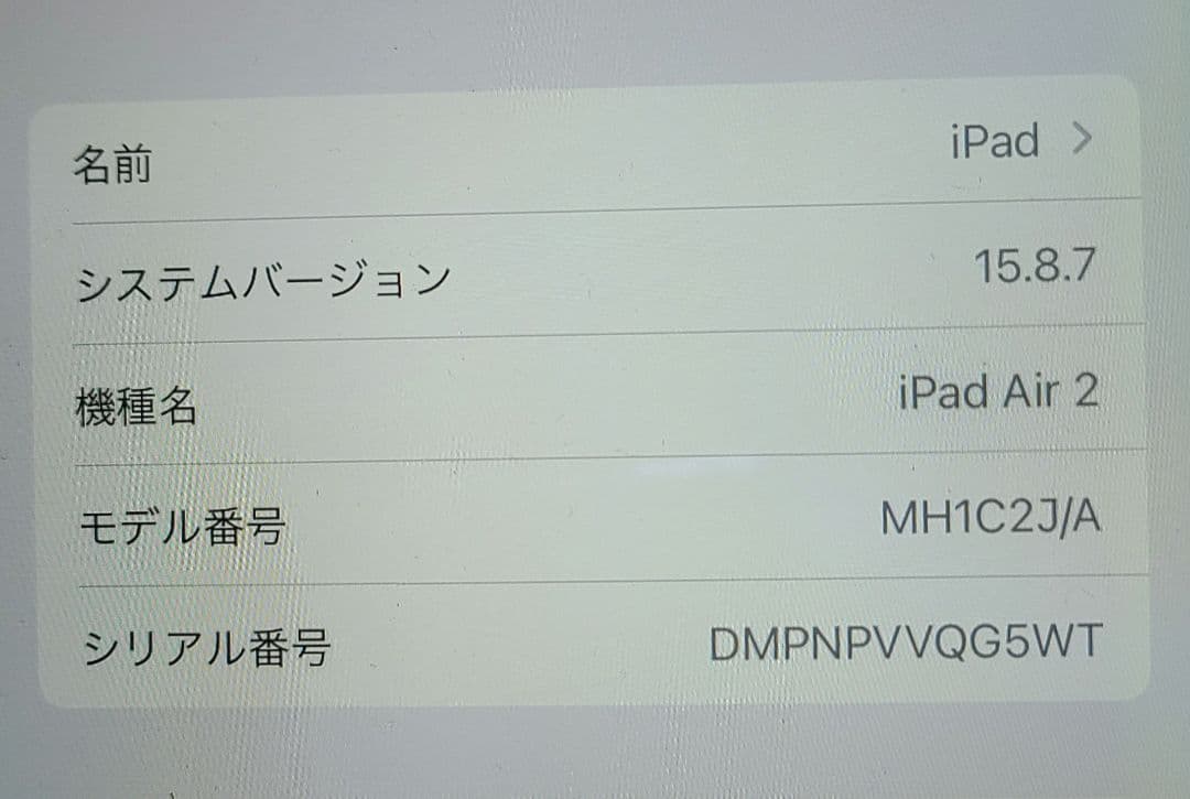 Apple iPad Air2 MH1C2J/A イヤホン