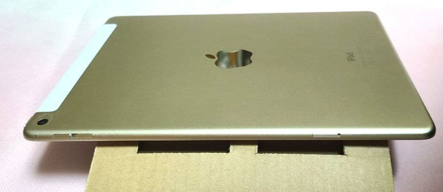 Apple iPad Air2 MH1C2J/A イヤホン