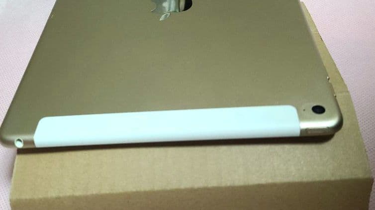 Apple iPad Air2 MH1C2J/A イヤホン