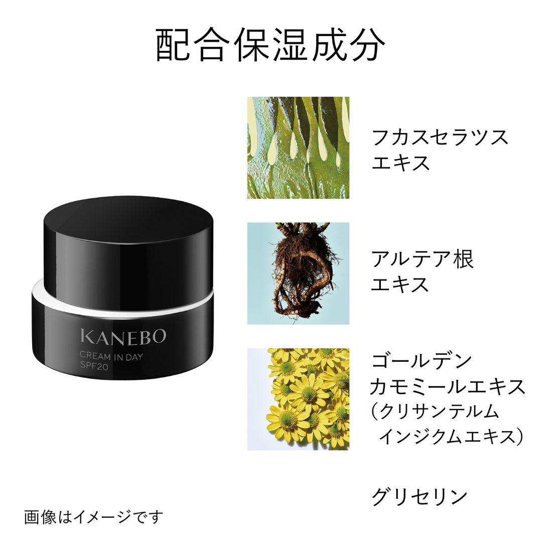 新品 KANEBO カネボウ クリームインデイ クリームインナイト 40g