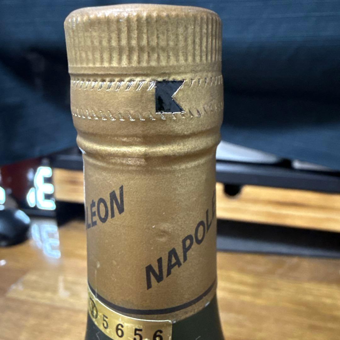 ブランデー Napoleon Armagnac Extra Old 700ml