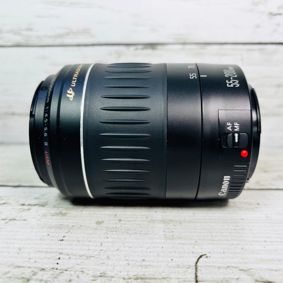 【動作良好】Canon EF 55-200mm F4.5-5.6 USM Ⅱ