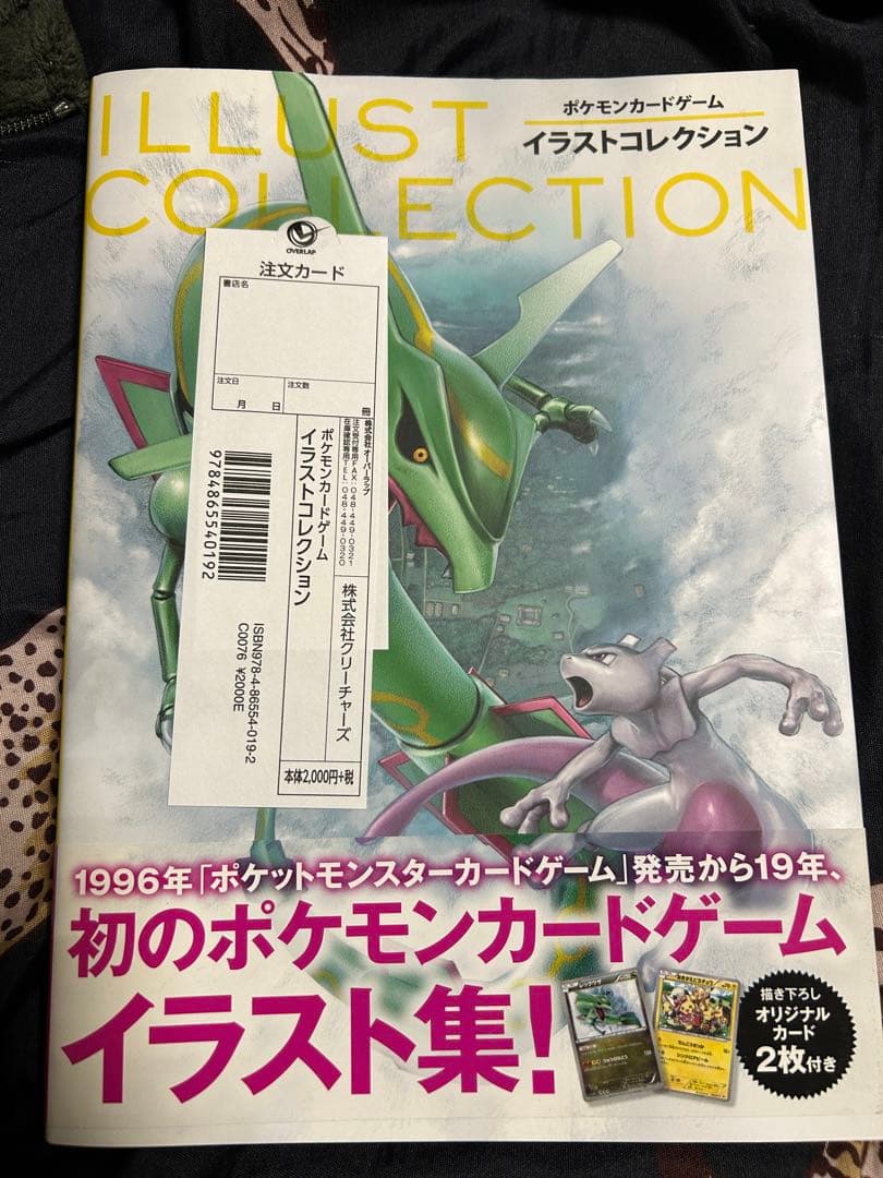 ポケモンカードゲーム イラストコレクション レックウザ ピカチュウ