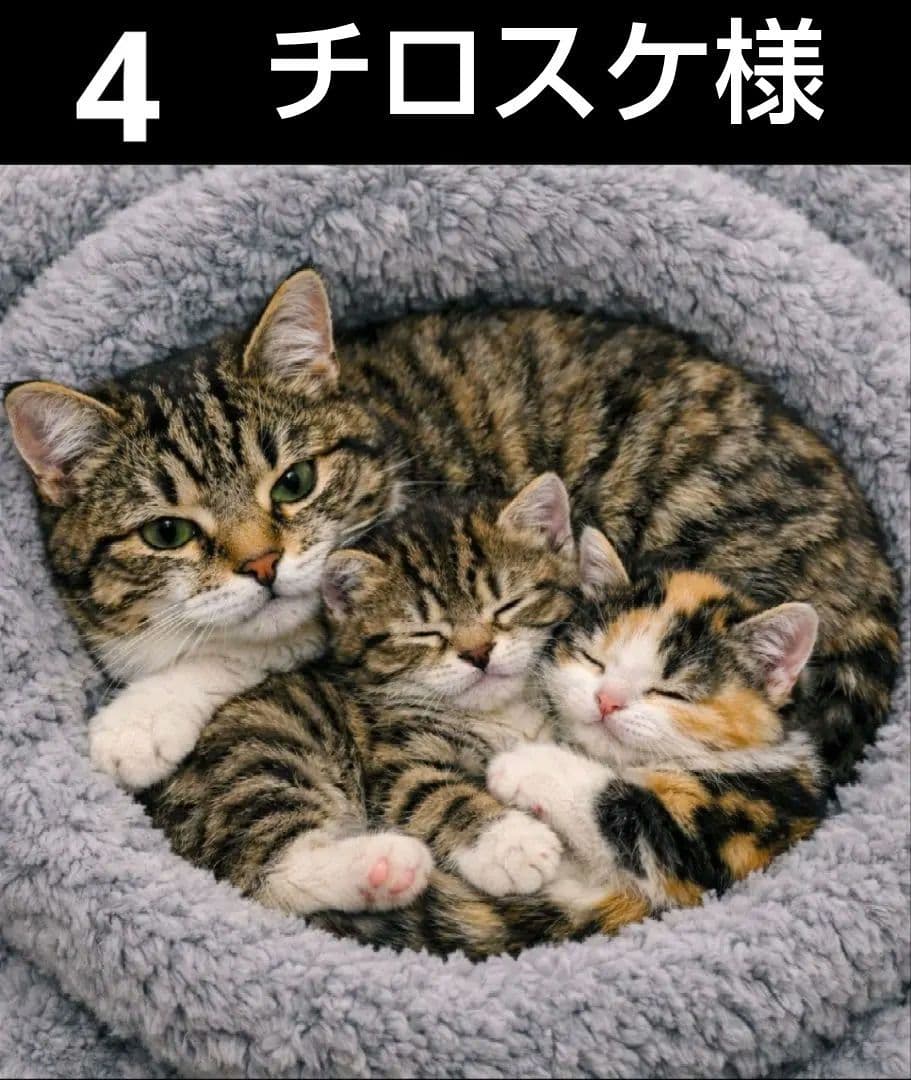 オーダーページ　ハンカチ　314 ねこちゃん柄　ハンドメイド　2/2