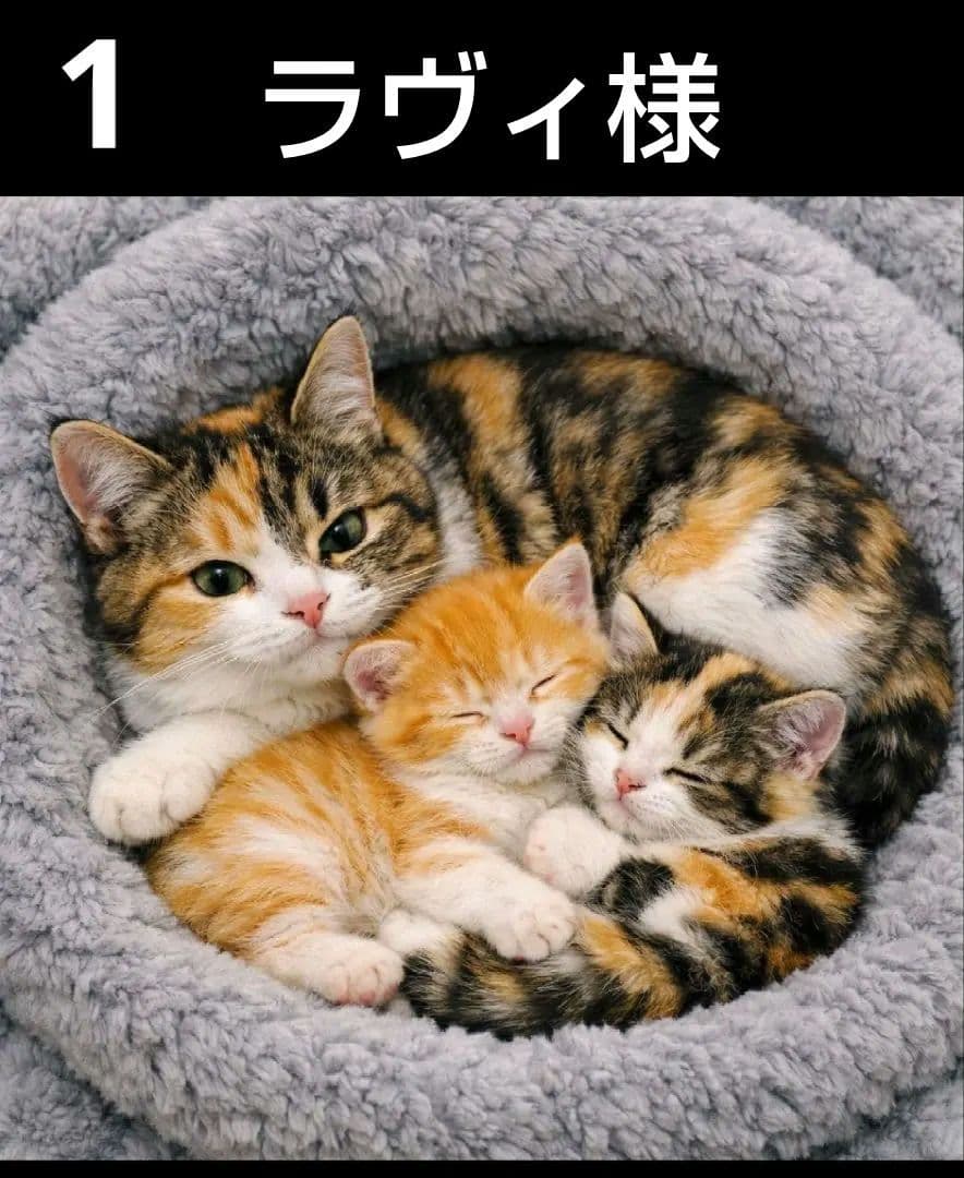 オーダーページ　ハンカチ　314 ねこちゃん柄　ハンドメイド　2/2