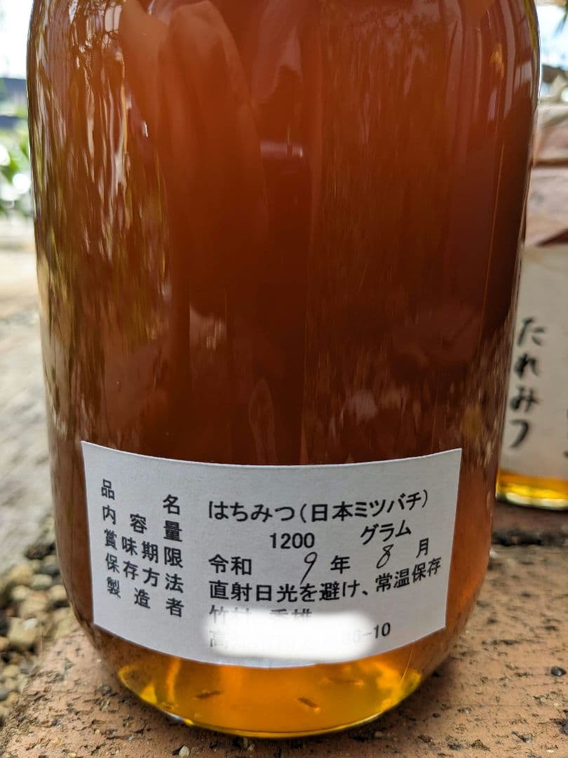日本ミツバチ 蜂蜜 令和7年度 採れたて　たれ蜜　600g×8 非加熱