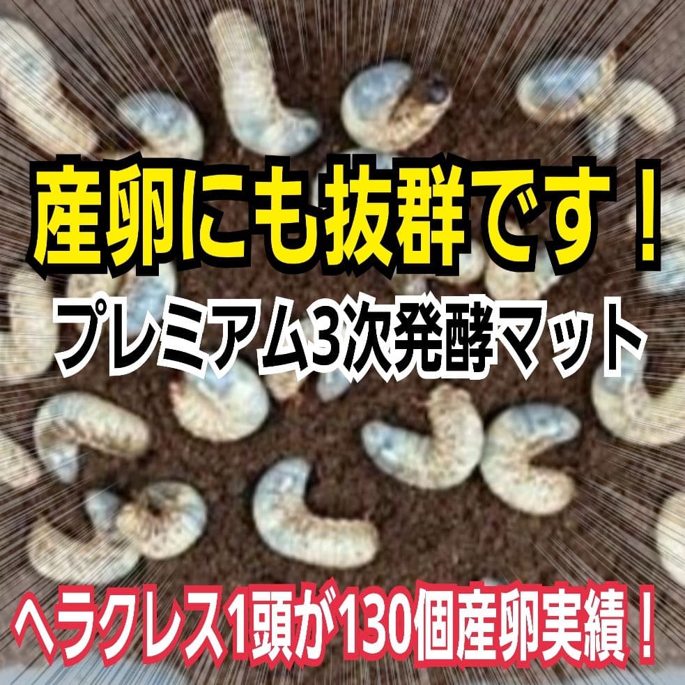 カブトムシ幼虫が巨大化！プレミアム3次発酵マット【200リットル】産卵にも抜群！
