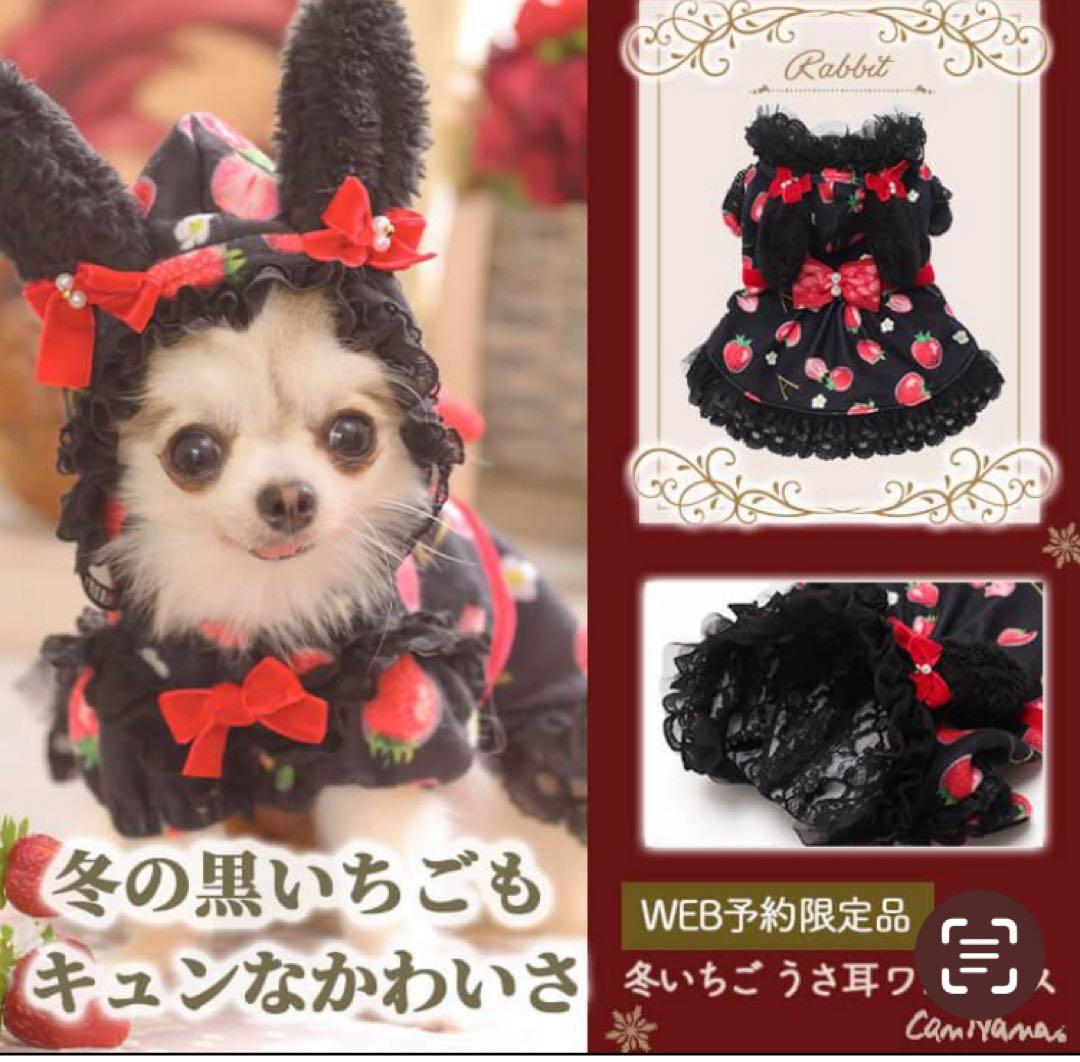 きゃんナナ　Ｓ　冬の黒いちごうさ耳ワンピース　新品　ブラック　限定品