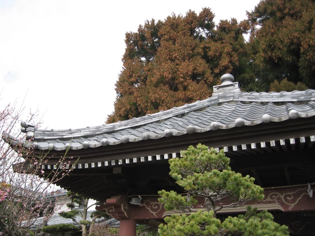 実写美⭕️訳あり【動作確認済】Canon IXY DIGITAL 700