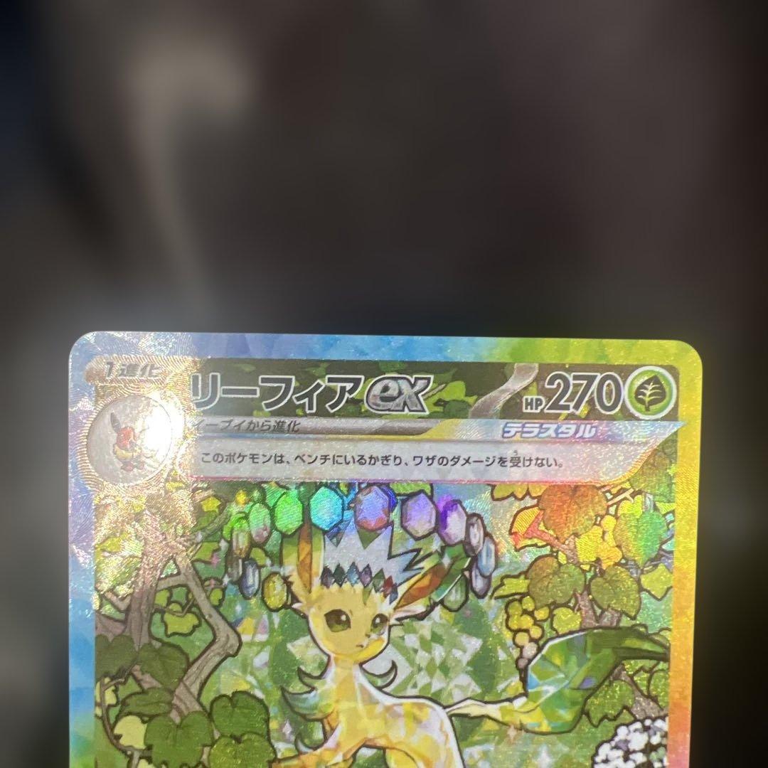 テラスタルフェスSAR