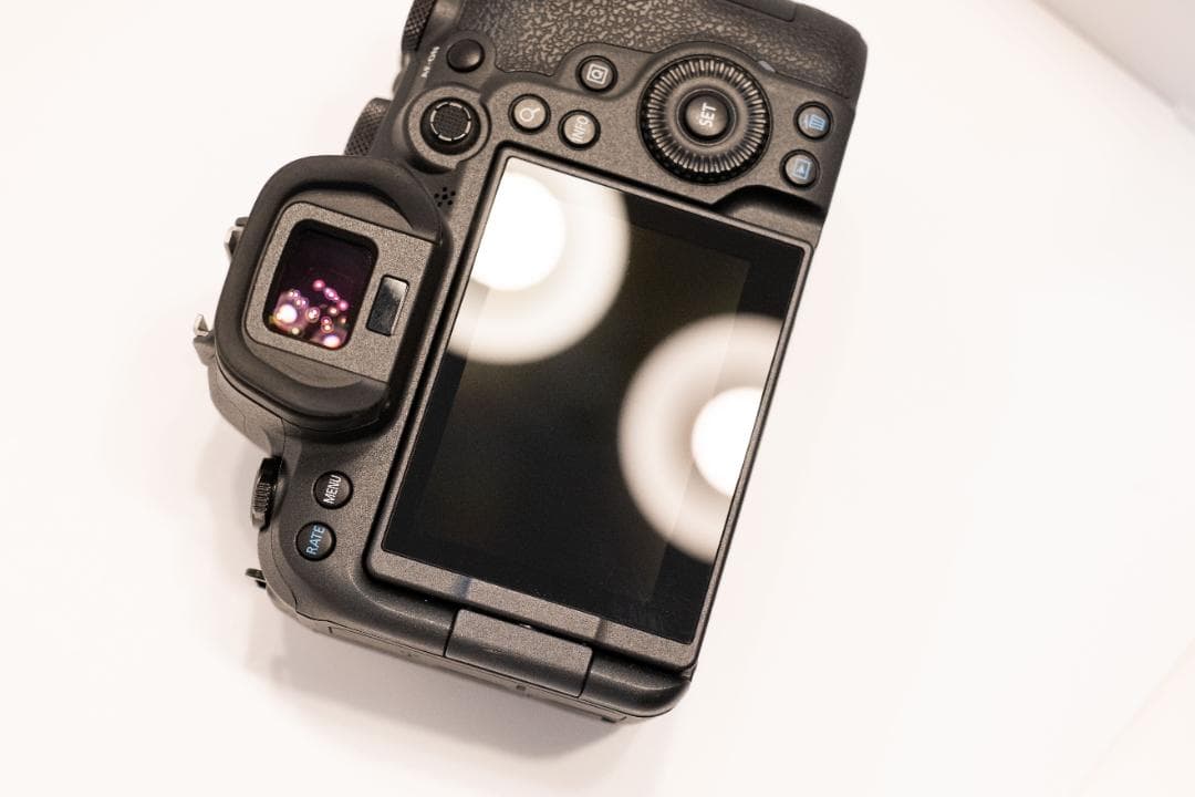 【美品】Canon EOS R6 本体（ショット数記載あり）