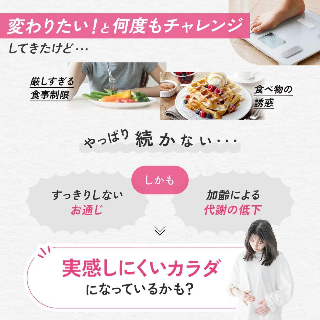 ファンケル☆プレミアムカロリミット☆40日分160粒☆２袋