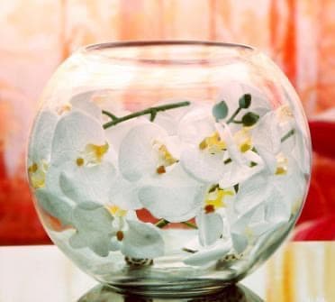 お得３個セット 金魚鉢 ガラス製 花瓶 アクアリウム テラリウム ２５ｃｍ訳あり