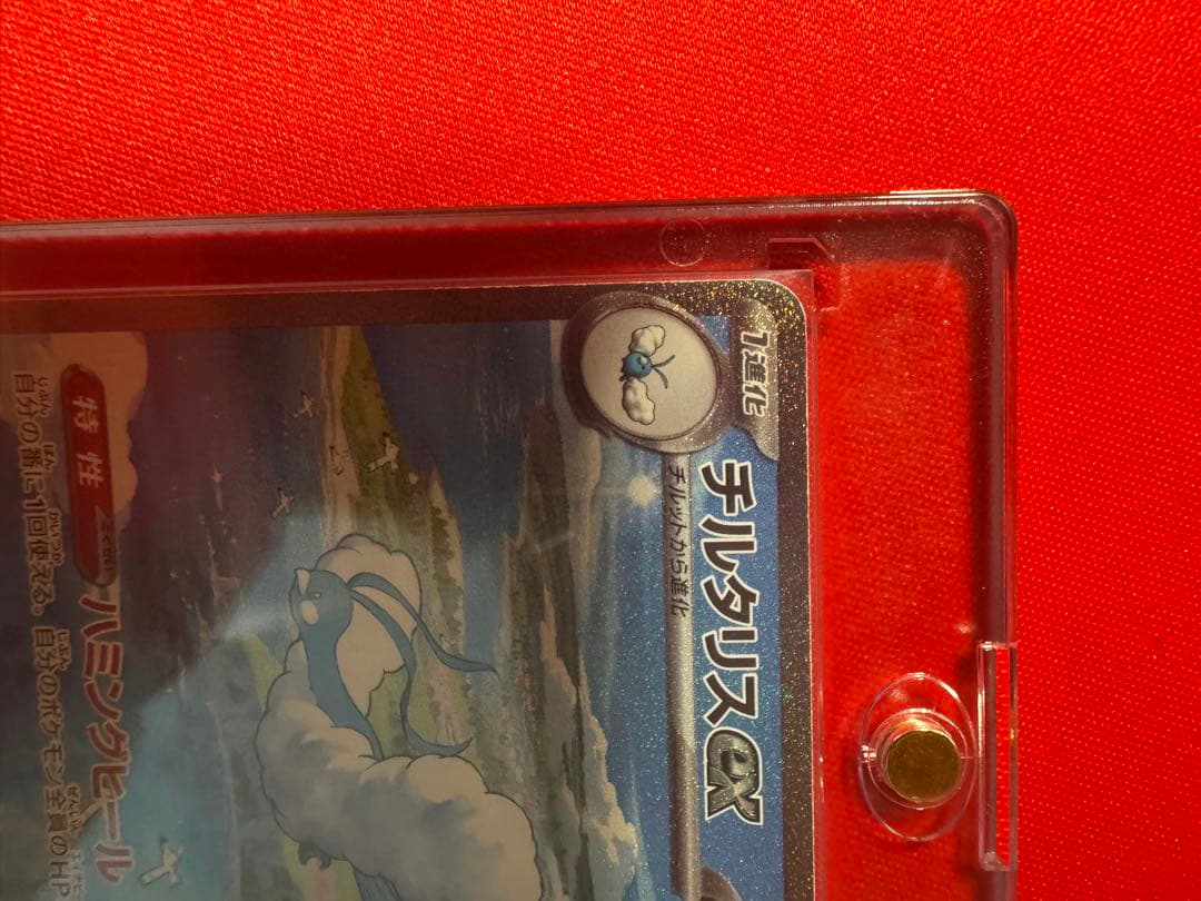 チルタリスex SAR