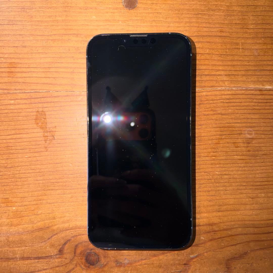 ［美品］iPhone 13pro 256G ケース付き　シエラブルー