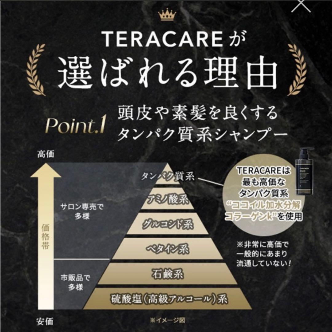 テラケア　トリートメント　詰め替え用　1000ml