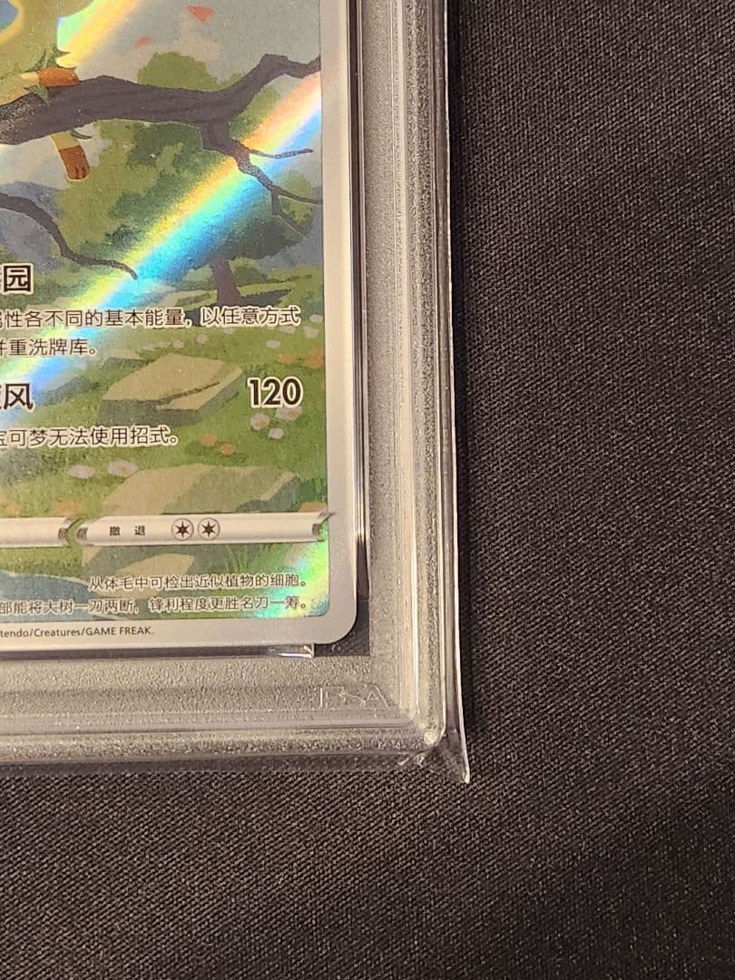 リーフィア AR 中国 簡体字 PSA 10