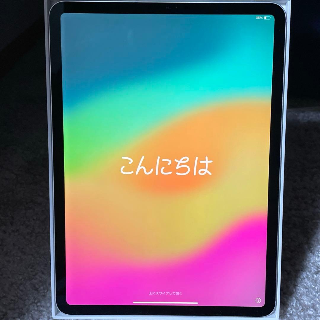 iPad Pro 11 第1世代 256GB セルラー MU172J/