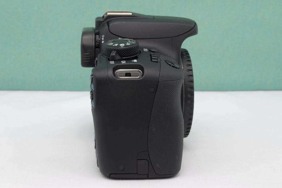 ☘️カメラデビューに✨️ Canon Kiss X7 一眼レフ 簡単操作 おまけ