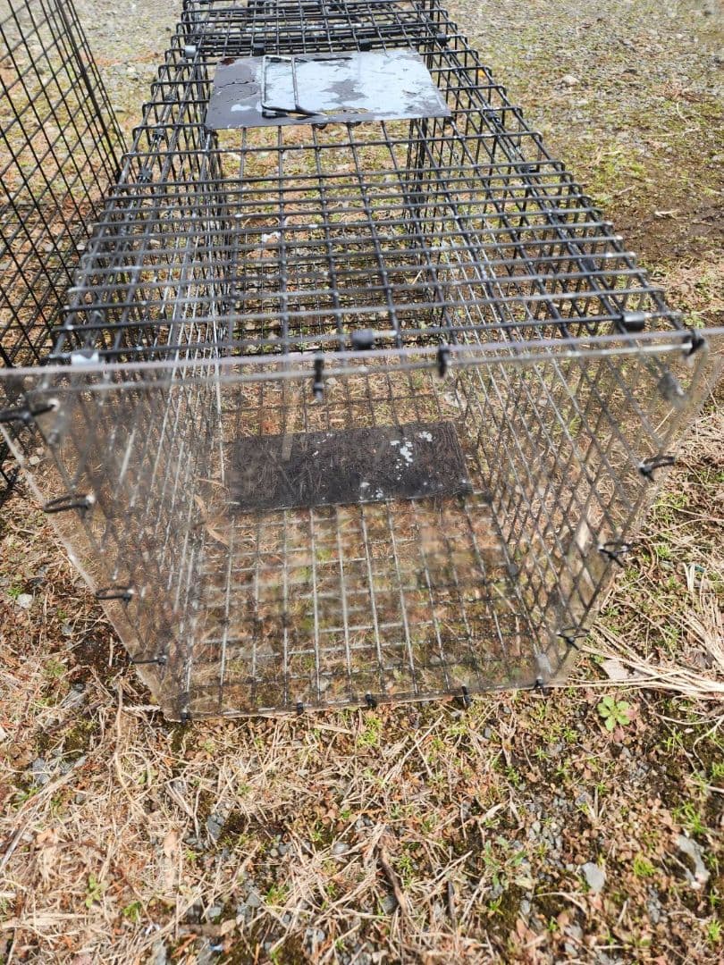 町田！相模原！新品猫用捕獲器 ダブルドア 　3個セット　地域猫　保護猫