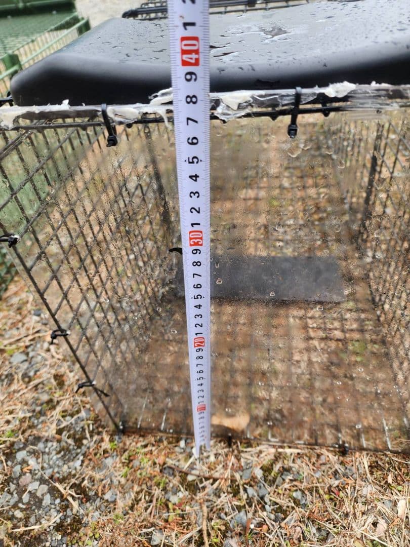 町田！相模原！新品猫用捕獲器 ダブルドア 　3個セット　地域猫　保護猫