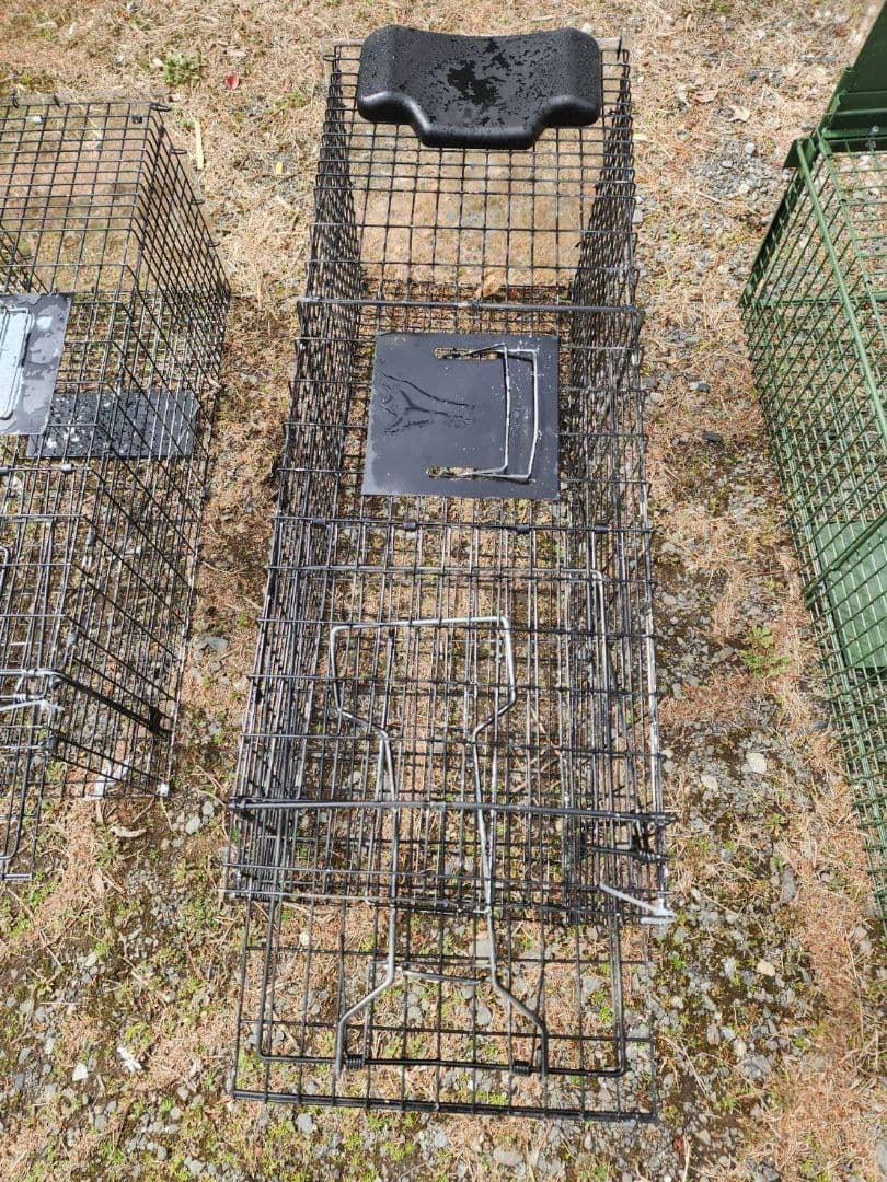 町田！相模原！新品猫用捕獲器 ダブルドア 　3個セット　地域猫　保護猫